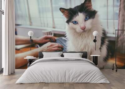 Man working at the desk with his cat Wall mural