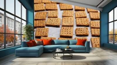 Homemade baked parmesan cheesse crackers with rosemary Wall mural