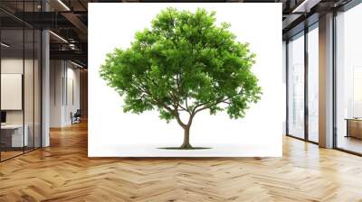 Tree with leaves isolated white background, generative ai Wall mural