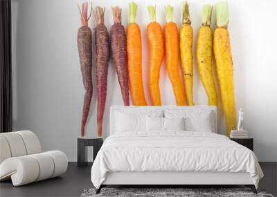 Baby Rainbow Carrots on White Background Wall mural