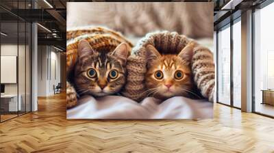 2 cute cats hiding on the bed under a warm woolen beige handmade blanket; cat with surprised face expression looking directly; widescreen backdrop; funny feline photo; wool products ads; luxury inside Wall mural