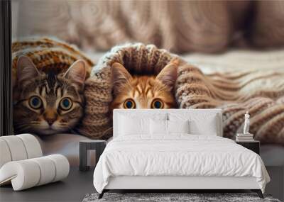 2 sweet cats under a warm, handmade, comfort wooden blanket; widescreen backdrop Wall mural