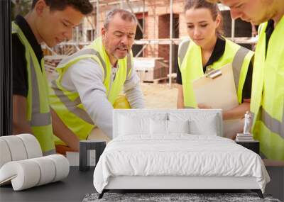 Builder On Building Site Discussing Work With Apprentice Wall mural