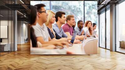 class of university students using laptops in lecture Wall mural