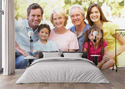 Extended Group Portrait Of Family Enjoying Day In Park Wall mural