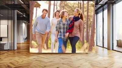 family with teenage kids walking in the countryside Wall mural