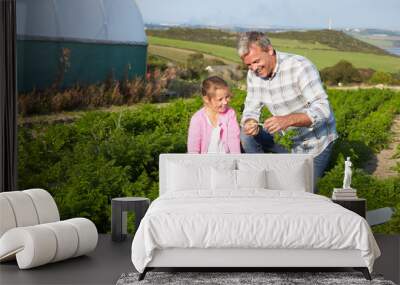 farmer with daughter harvesting organic carrot crop on farm Wall mural