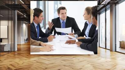 Group Of Business People Having Meeting In Office Wall mural