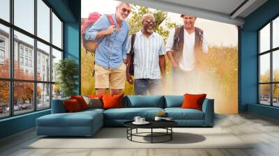 Group Of Mature Male Friends Walking Along Path Through Yurt Campsite Wall mural