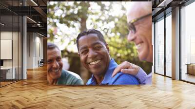 Mature Male Friends Socializing In Backyard Together Wall mural