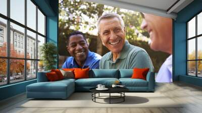 Mature Male Friends Socializing In Backyard Together Wall mural