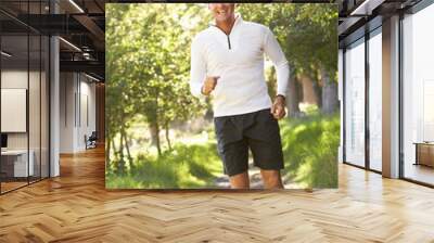 Middle Aged Man Jogging In Park Wall mural