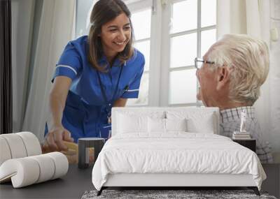 Nurse serving dinner to a senior man in an armchair at home Wall mural