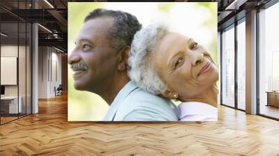 Portrait Of Romantic Senior African American Couple In Park Wall mural