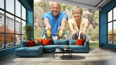 senior couple exercising in park Wall mural