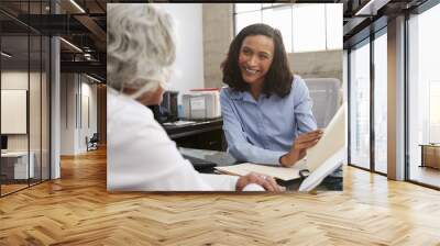 smiling female analyst in consultation with senior woman Wall mural