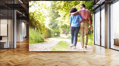 Young African American Couple Walking In Countryside Wall mural