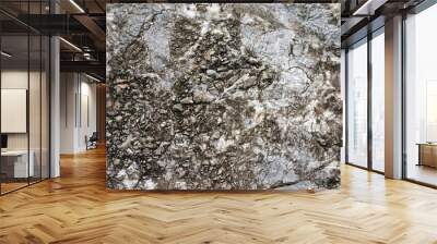 stone surface texture detail macro photography Wall mural