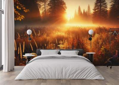 A sunlit meadow during golden hour in the warm sunlight Wall mural