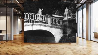 Bridge with the statues in the park Wall mural