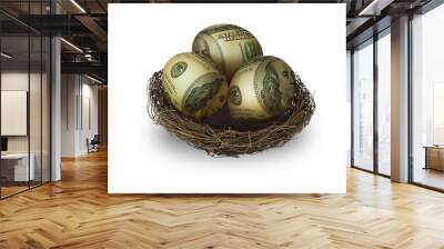 Egg shaped money in nest on white background Wall mural