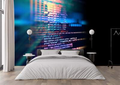 Programming code abstract technology background of software developer and  Computer script Wall mural