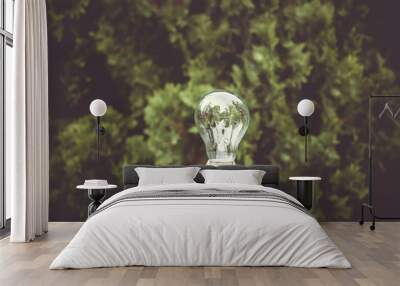 Concept save energy efficiency. Hand holding light bulb on blurred tree background Wall mural