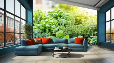 Lush green herbs and vegetables growing in a garden, illuminated by soft sunlight, showcasing freshness and vitality. Wall mural