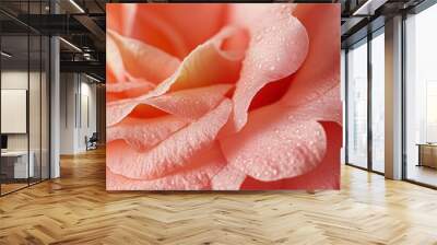 Camelia pink flower macro photo closeup foliage petal nature background Wall mural