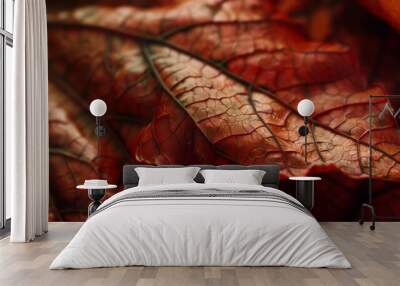 Dried maple leaves pattern which has withered or lacks water botanical background Wall mural