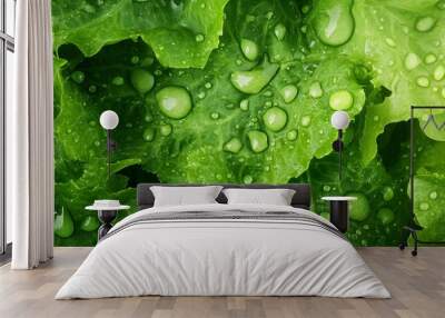 Lettuce green closeup leaves and red tomato pattern vegetable agriculture background Wall mural