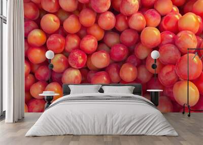 Peach vibrant pattern organic real food agriculture environment background Wall mural