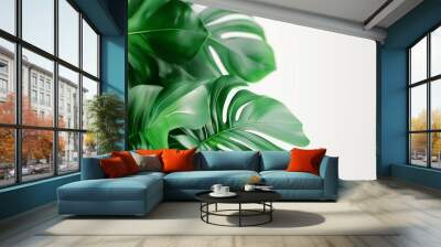 Shrub corner monstera leaves green decoration with white background Wall mural