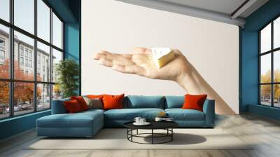 A hand holding camembert cheese - artistic light Wall mural