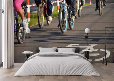 Bicycle road sign on asphalt Wall mural