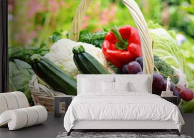 Variety of fresh organic vegetables in the garden Wall mural