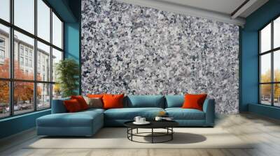 Background and Texture of polished gray granite rock. Wall mural