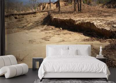 Soil erosion is caused by water erosion in nature. Wall mural