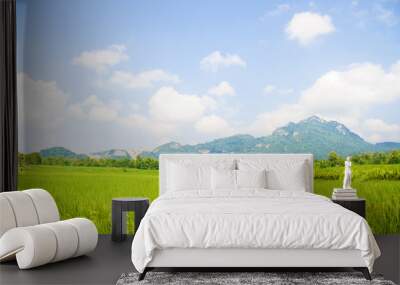 That perfect mountain, cloud and skyscape view with the wide field in the farming season. Wall mural