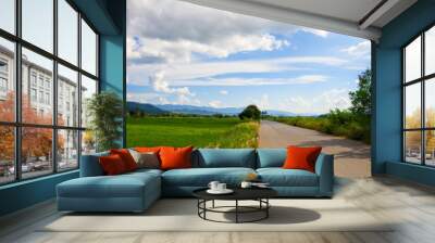 The way through the wide field in the farming season.The Field around with that perfect mountain, cloud and skyscape view. Wall mural