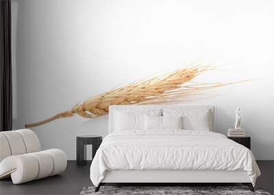 Two barley grains on white background Wall mural