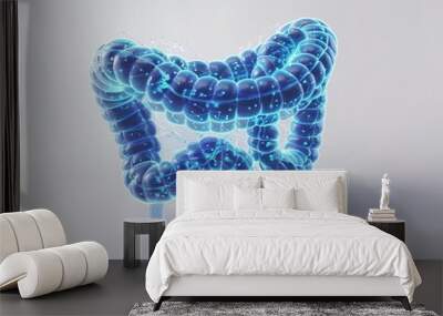 3D rendering of the human colon. The colon is the longest part of the large intestine. Wall mural