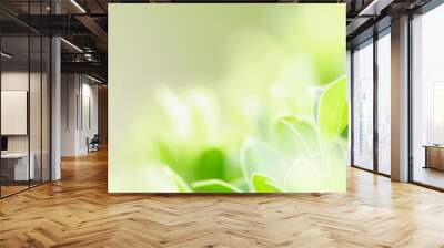 Closeup of green nature leaf on blurred greenery background in garden with bokeh and copy space using as background cover page concept. Wall mural