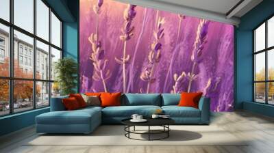 Beautiful landscape with lavender at sunset. Colorful nature with purple flower in Provence. Wall mural