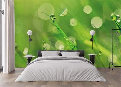 Nature - dew in the grass. Fresh spring green background. Wall mural