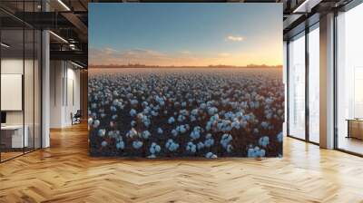 A cotton farm during harvest season, featuring a field of white bolls under a sunset sky Wall mural