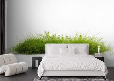 A patch of green grass on a white background Wall mural