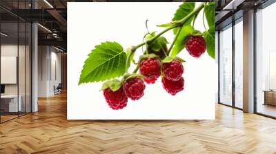 raspberries tree branch with green leaves nature on air white background generative AI Wall mural