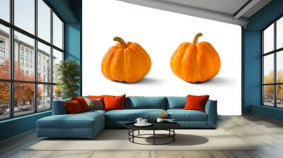 Two pumpkin on white background. Wall mural