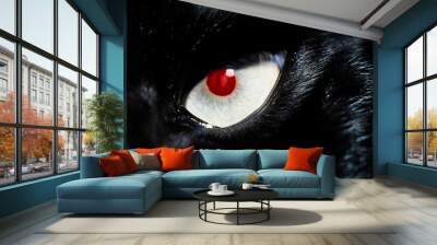 Close up of black cat with red eye Wall mural